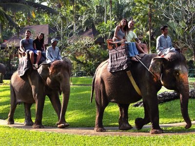 Mason Elephant Ride 5