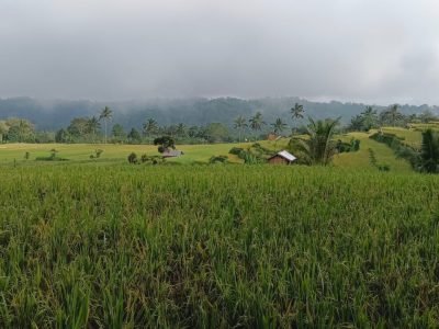 WhatsApp Image 2025-12-09 at 11.21.15