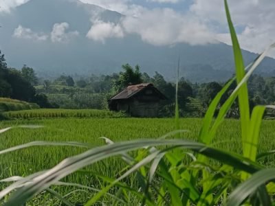 WhatsApp Image 2025-12-09 at 11.21.16